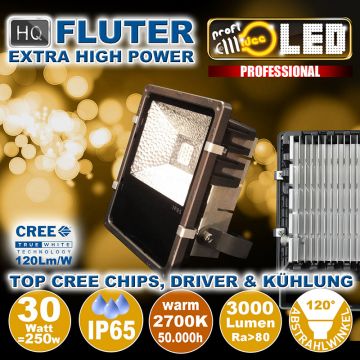  99108 - 30W=250W LED HQ Fluter 3000Lm 120 2700K IP65  115.53USD - 128.35USD  