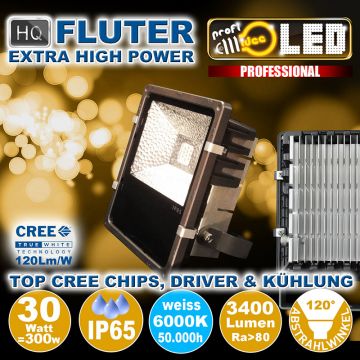  99109 - 30W=300W LED HQ Fluter 3400Lm 120 6000K IP65  116.81USD - 129.78USD  