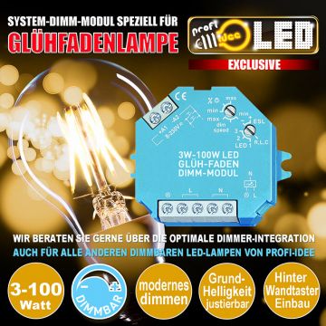  99160 - 3-100W LED Dimmer-Modul fr Glhfadenbirne  46.62GBP - 50.68GBP  